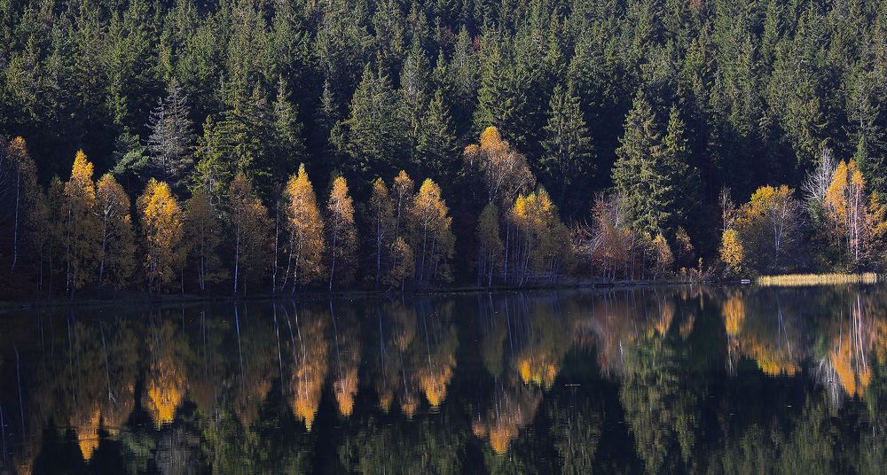 The reflection of the lake in the shadow