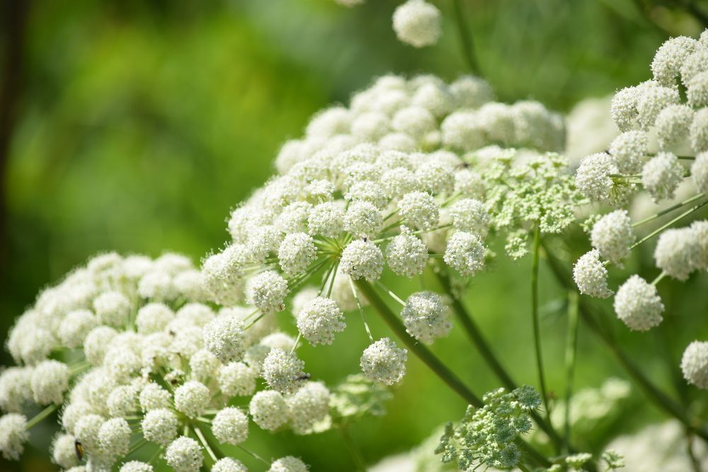 Photograph by Наталья Ченчикова