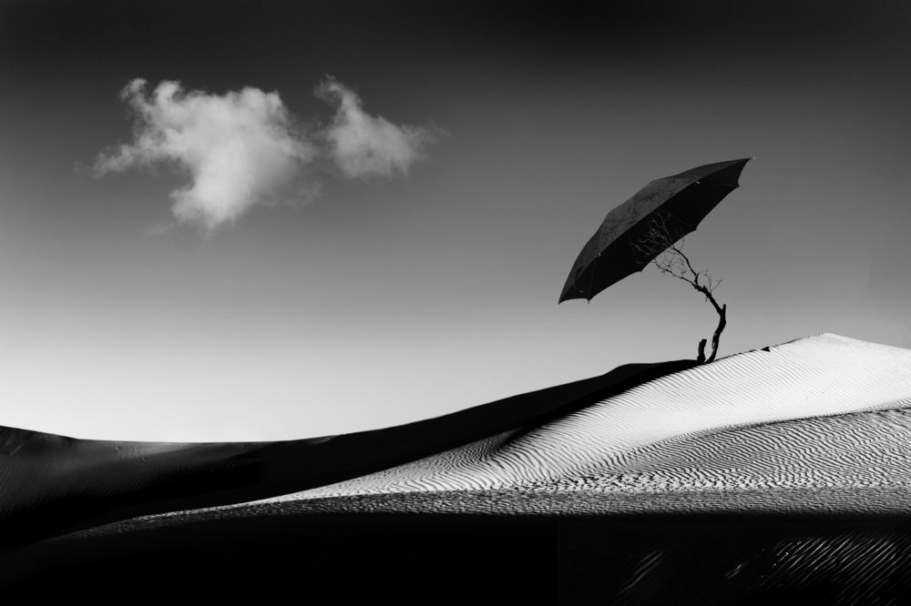 Photograph by Светлана