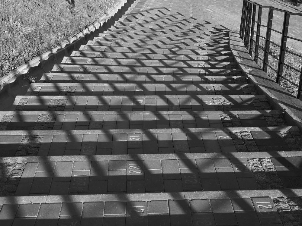 Photograph by PERESHEIN ANDREY