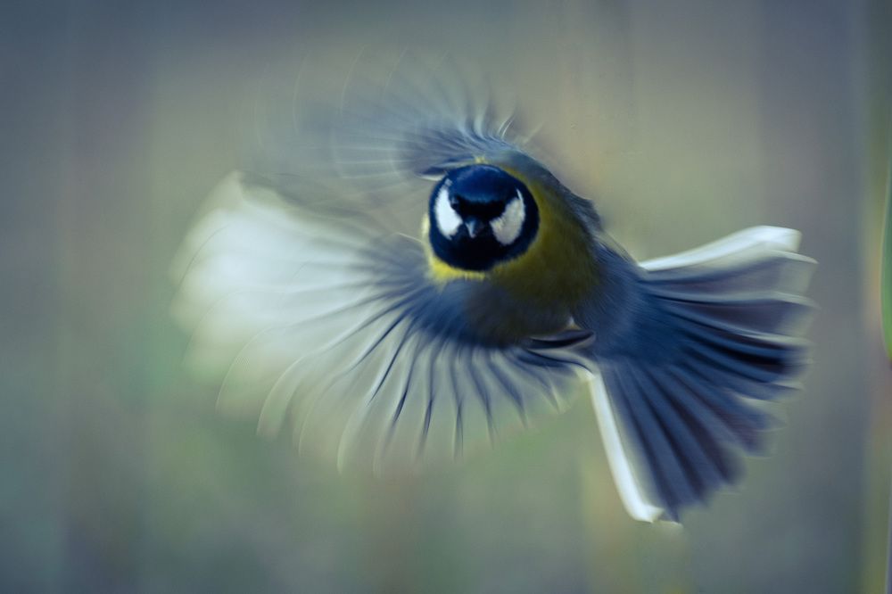 Photograph by Вячеслав Ладанов