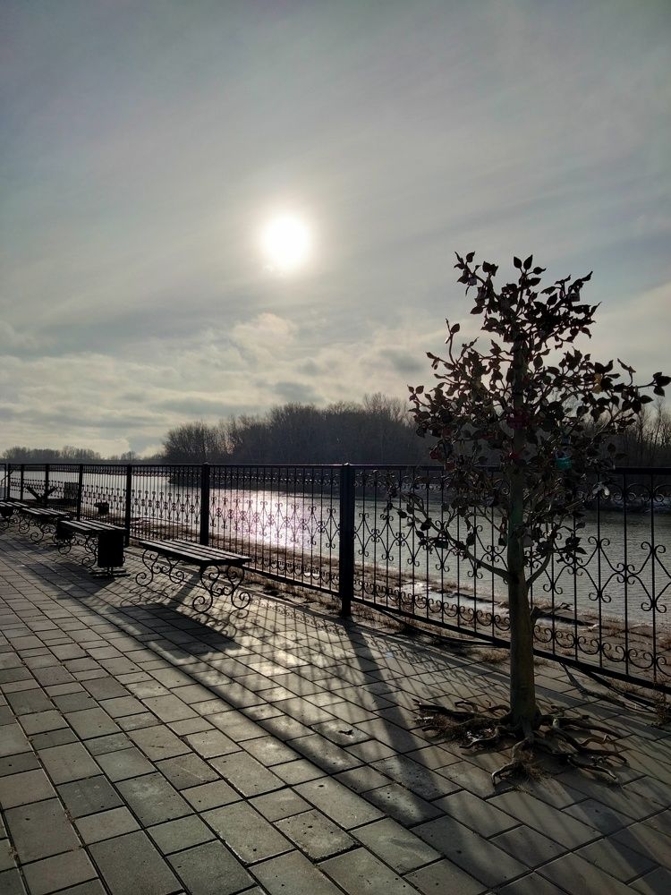 Фотография автора Динара Каймиденова