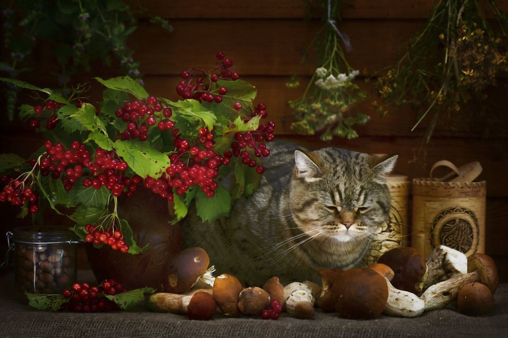 Photograph by Ирина Ефимова