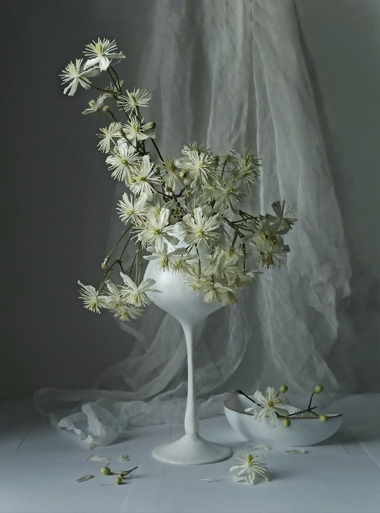 Photograph by Новикова Елена Сергеевна