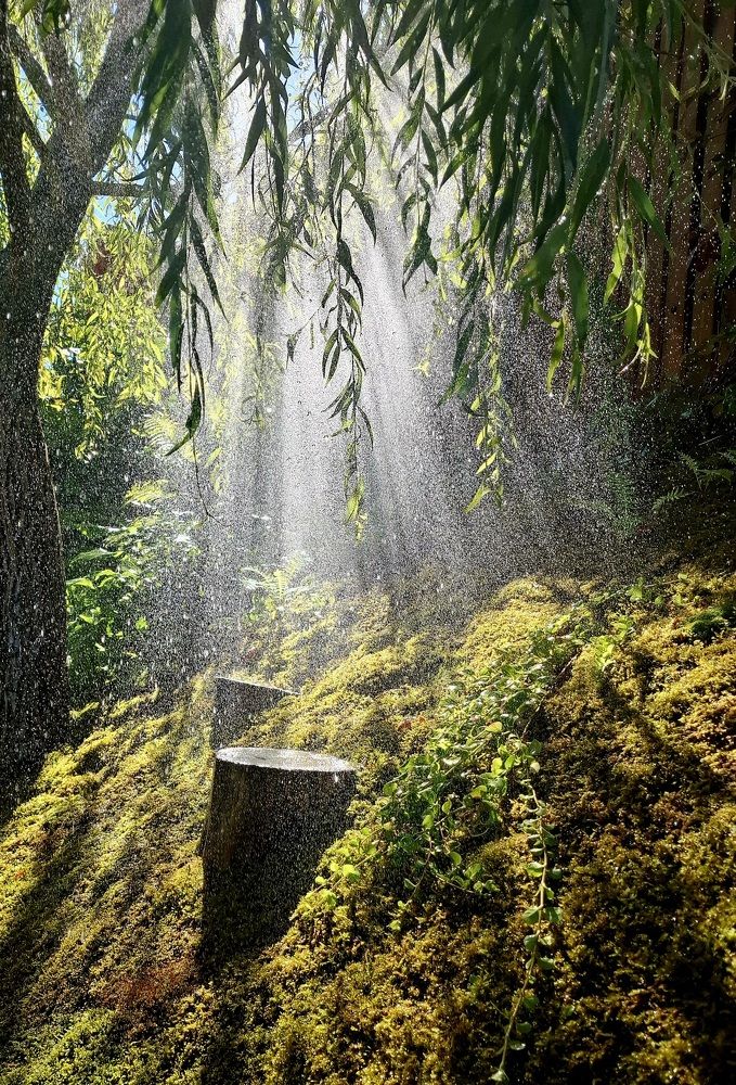 Утро на даче.