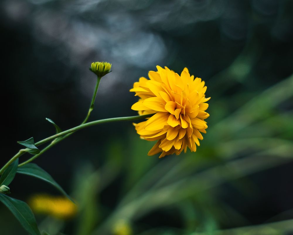 Photograph by Ирина Бабенкова