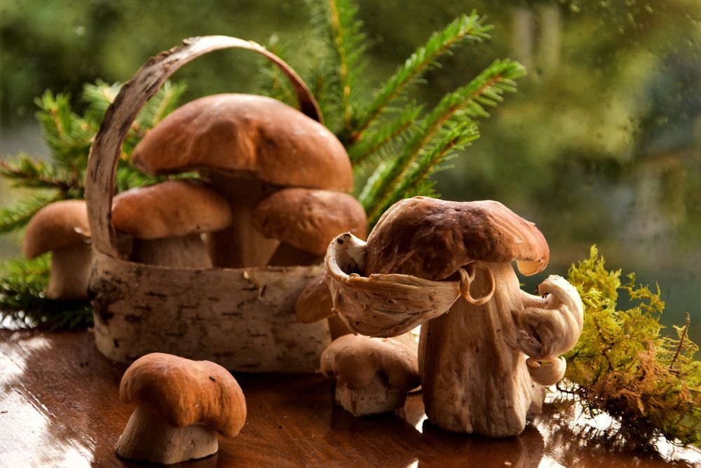 Photograph by Ирина Алексеева