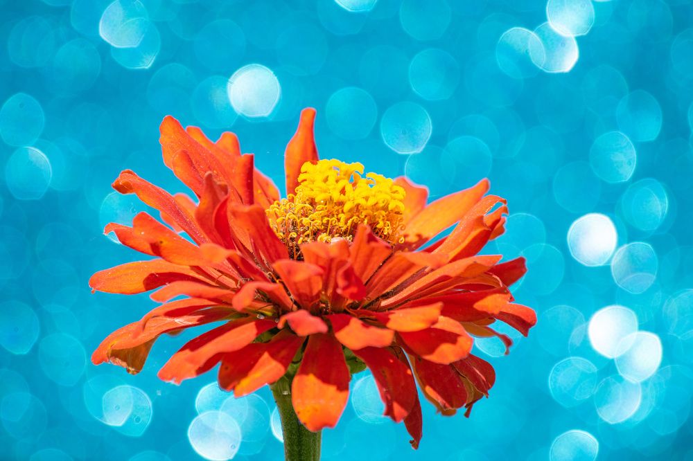 Photograph by Наталья Зверева