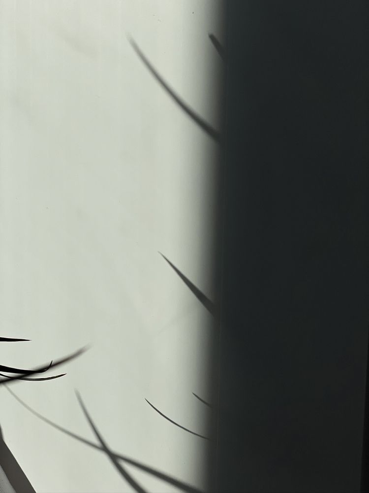 Photograph by Анна Пигулевская