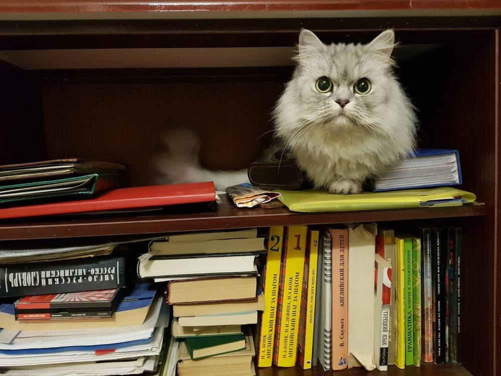 Photograph by Nataliya Kalinina