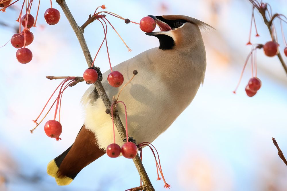 Photograph by Вячеслав Ладанов