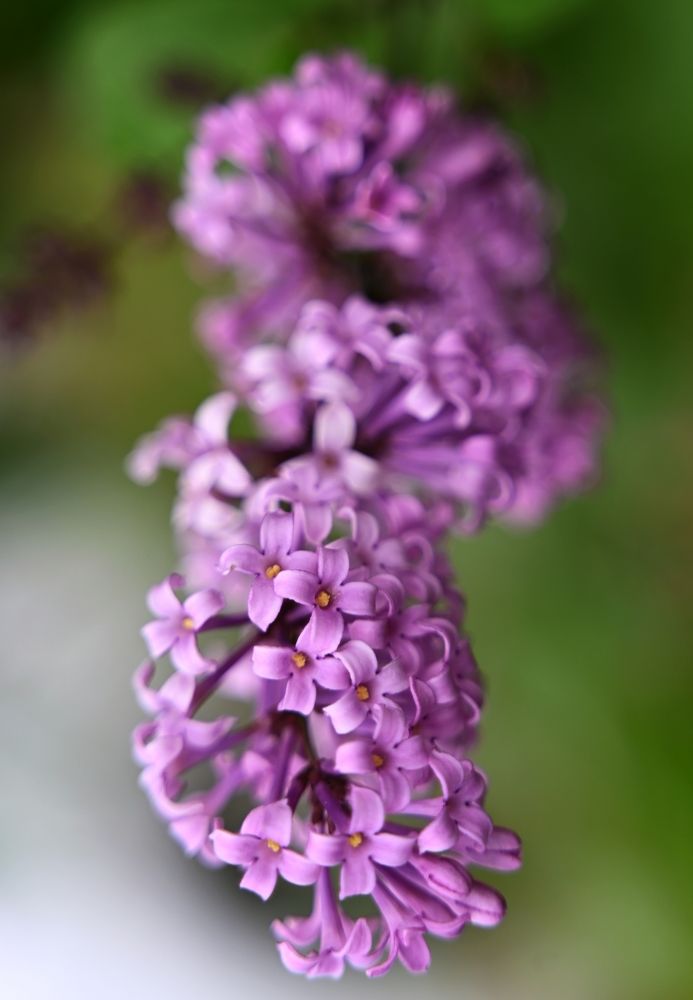 Photograph by Ксения Щербань