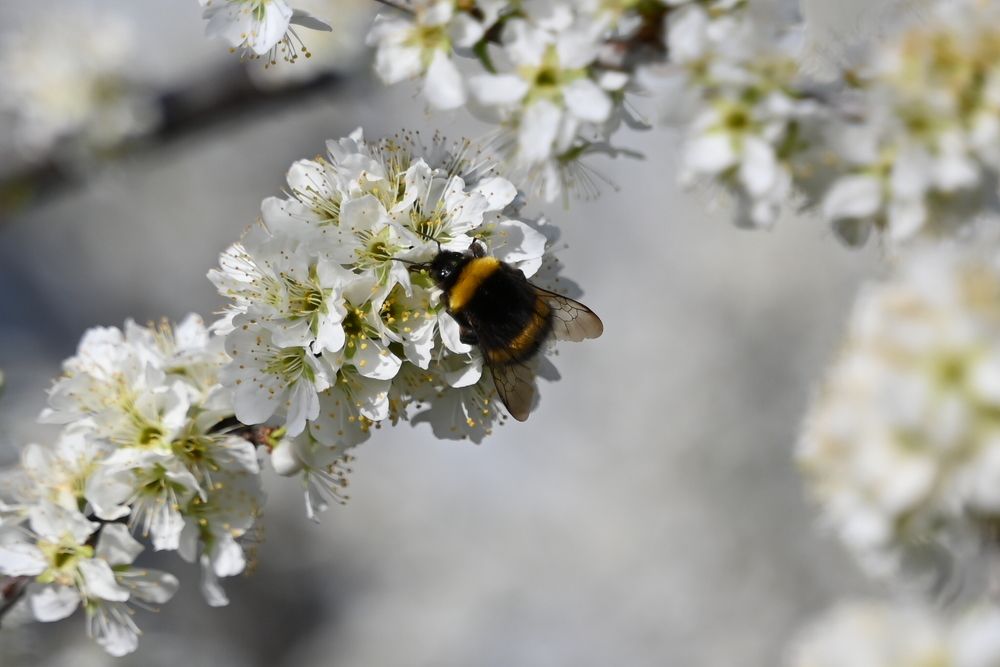 Photograph by Ксения Щербань