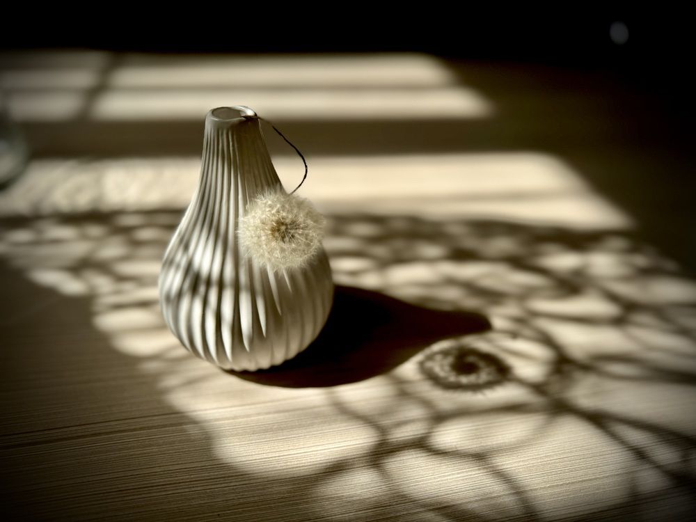 Photograph by Елена Карпухно