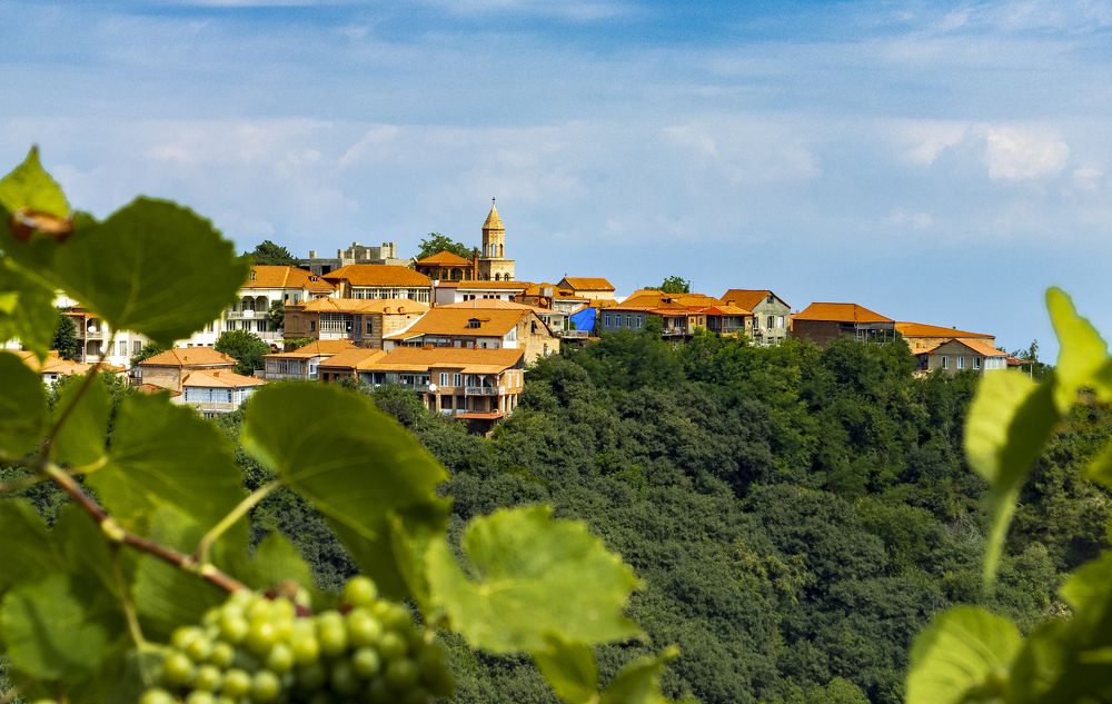 Photograph by Alex Kalpus