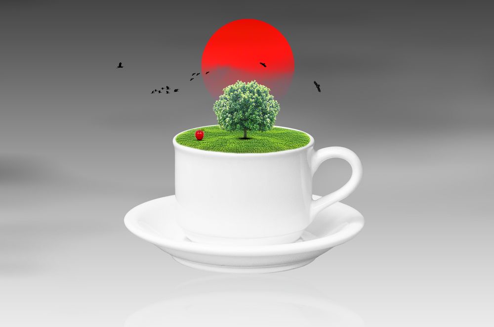A Cup of Fantasy