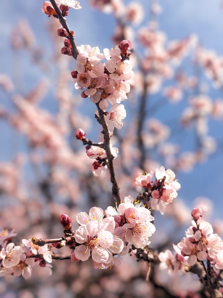 Photograph by Haziq Farooqi