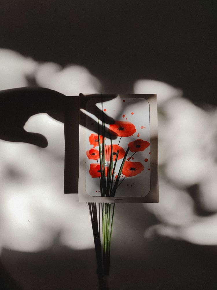 Photograph by Алия Латыйпова