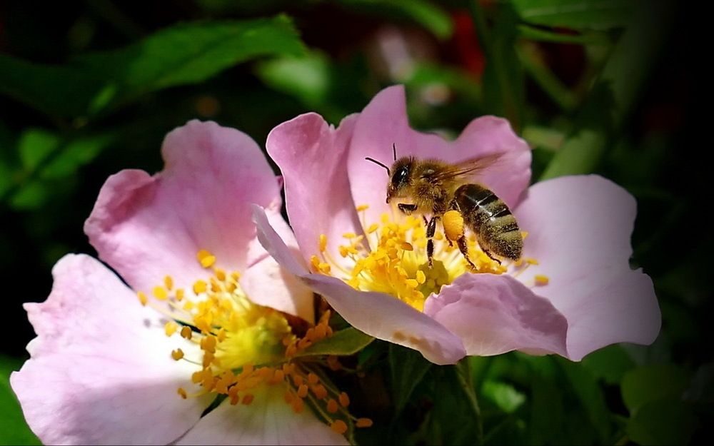 Фотография автора Razgulyaev Aleksandr
