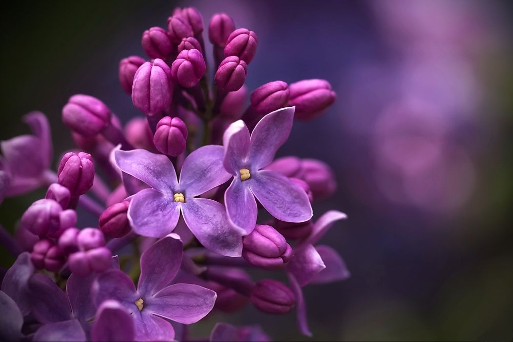 Photograph by Razgulyaev Aleksandr