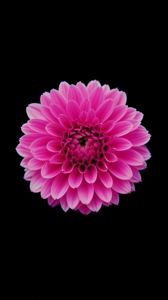 Photograph by Иван Егупов