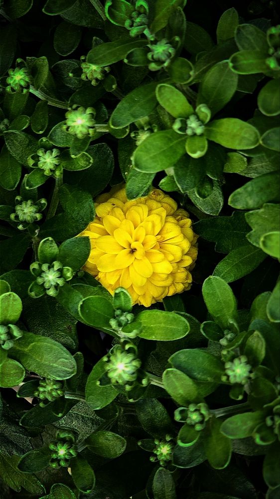 Photograph by Иван Егупов