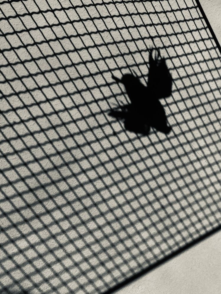 Фотография автора Ольга Лазаренко