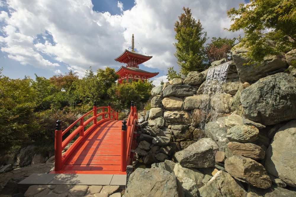 Photograph by Сергей Шпаков