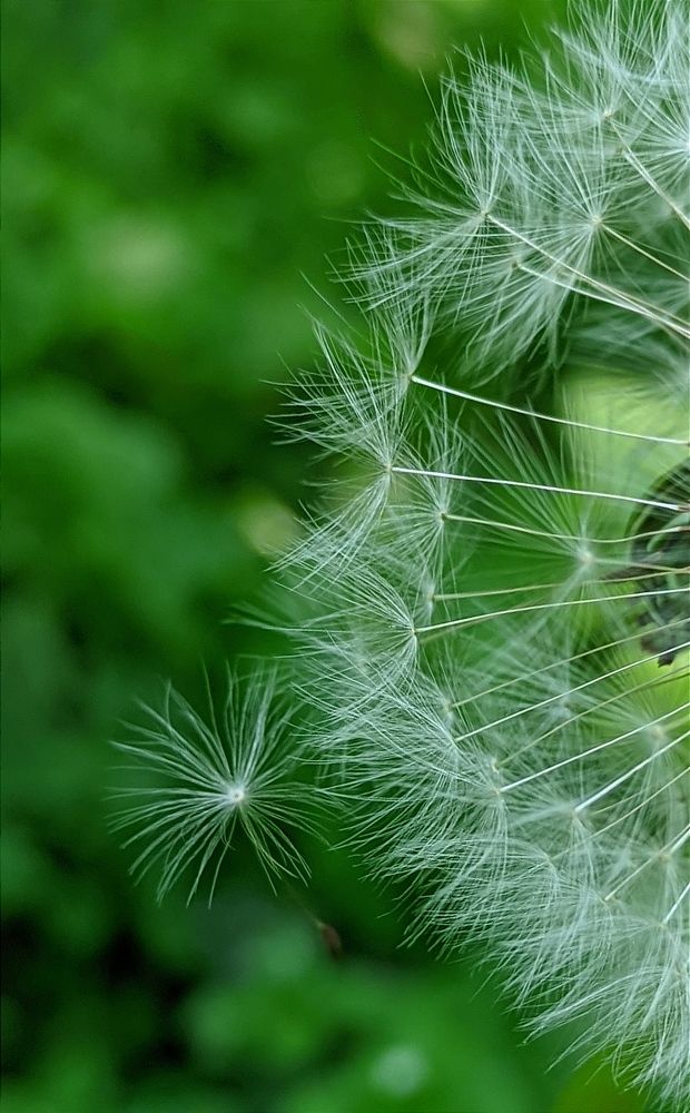 Фотография автора Васильева Ирина