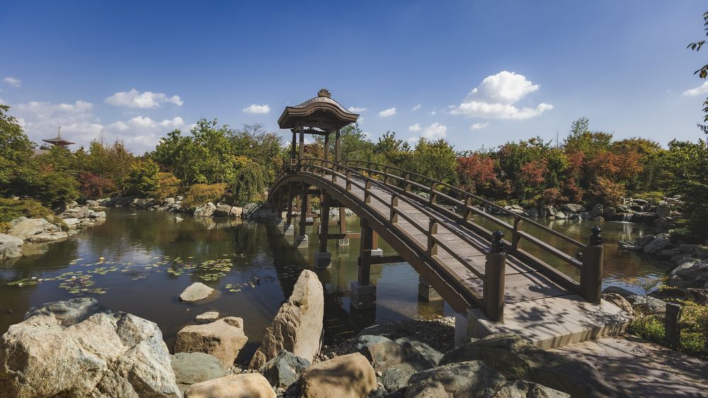 Photograph by Сергей Шпаков