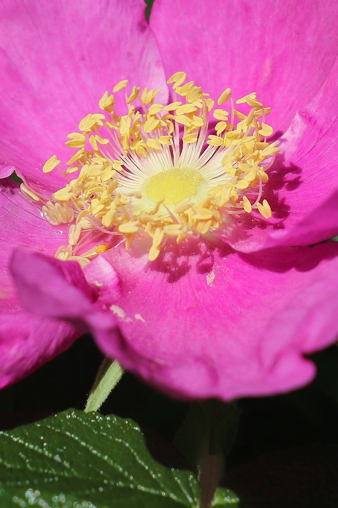 Photograph by Татьяна Елькина