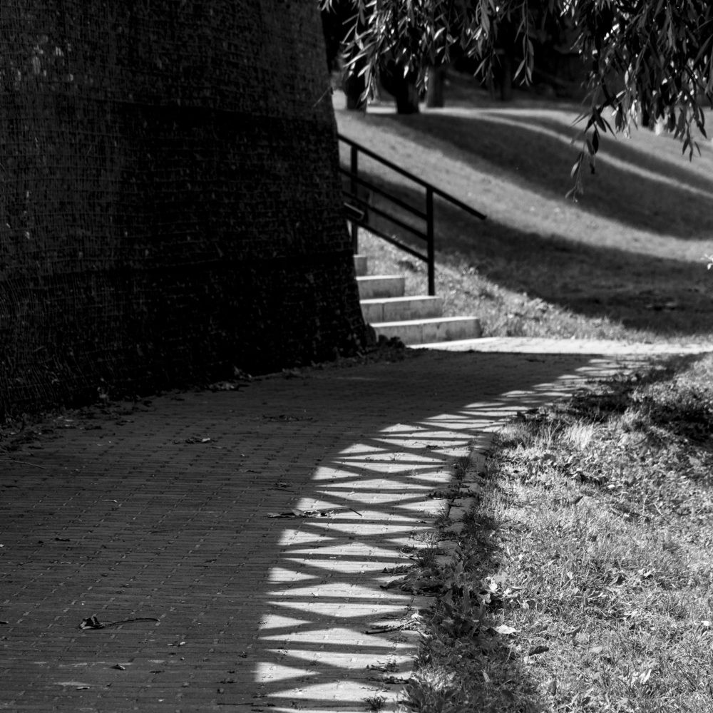 Photograph by Лилия Кондратьева