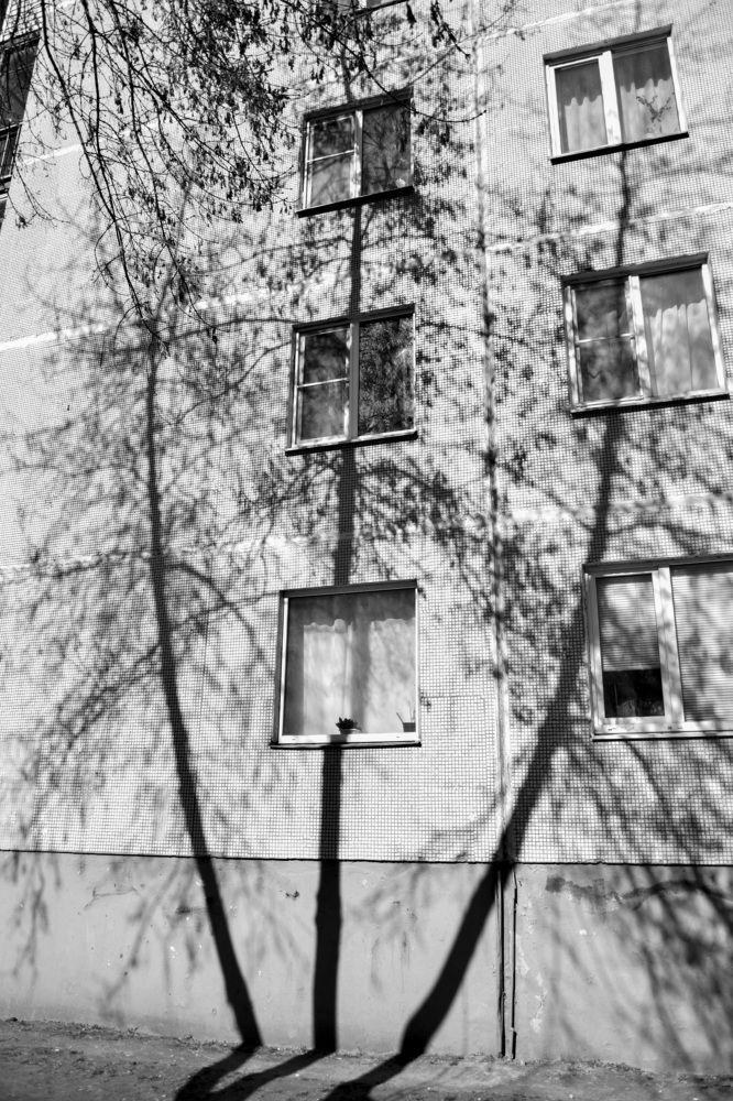 Photograph by Лилия Кондратьева