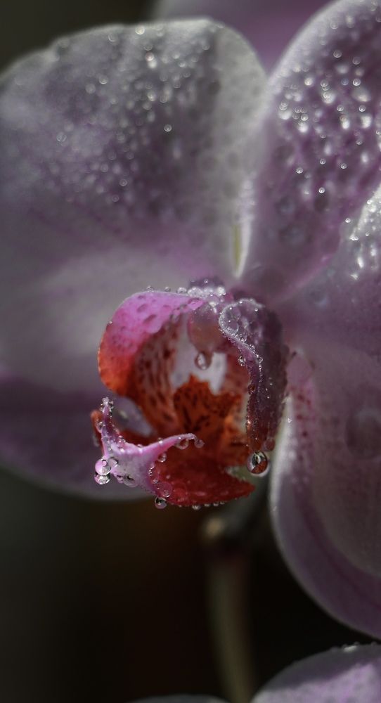 Фотография автора Кристина Тяттэ