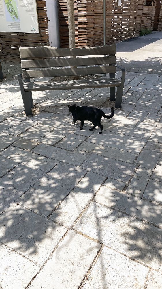 Photograph by Алексей Патлах