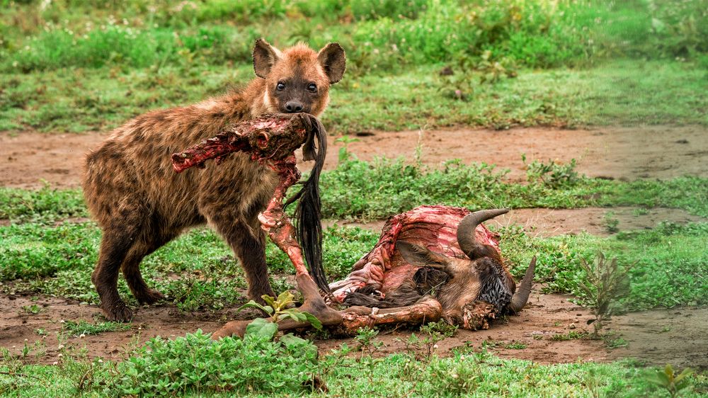 Photograph by Khazov Artem