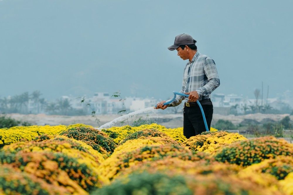 Фотография автора Pham Anh Vu