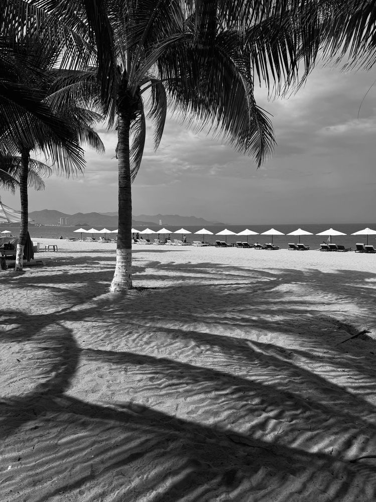 Photograph by Светлана Ермакова