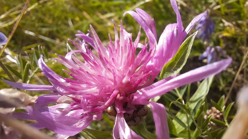 Photograph by Надежда Тузова