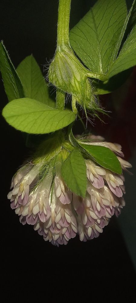 Photograph by Каковкина Ольга