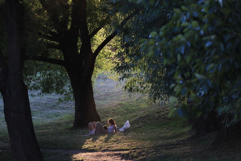 Летний вечер в парке