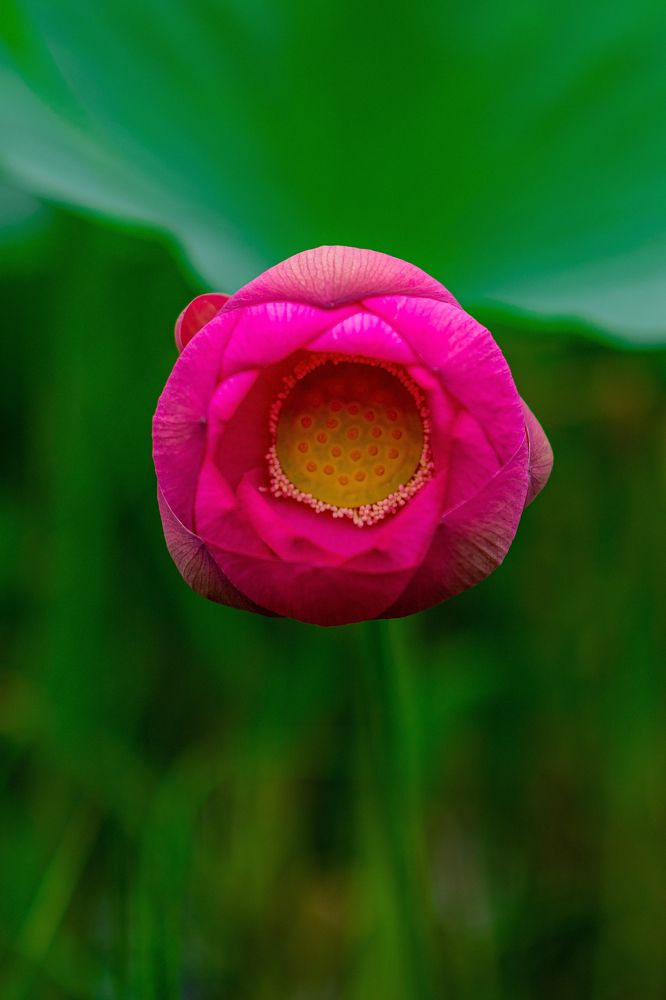 Photograph by Валерий Худынцев