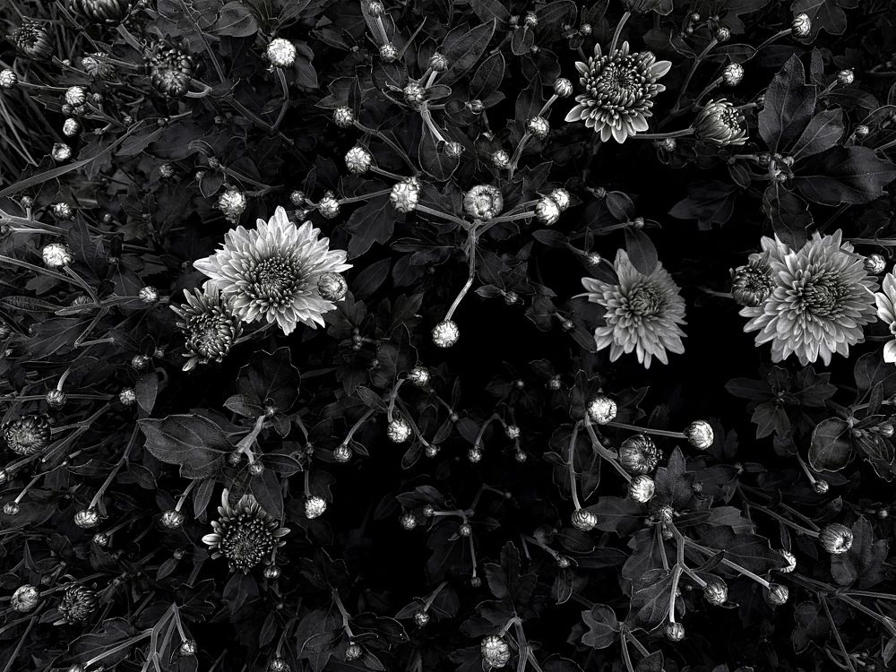 Photograph by Stanislav Sitnikov