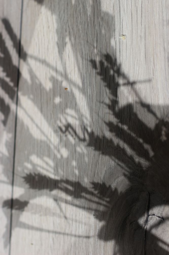 Photograph by АЛЛА ТАРАСЕНКО