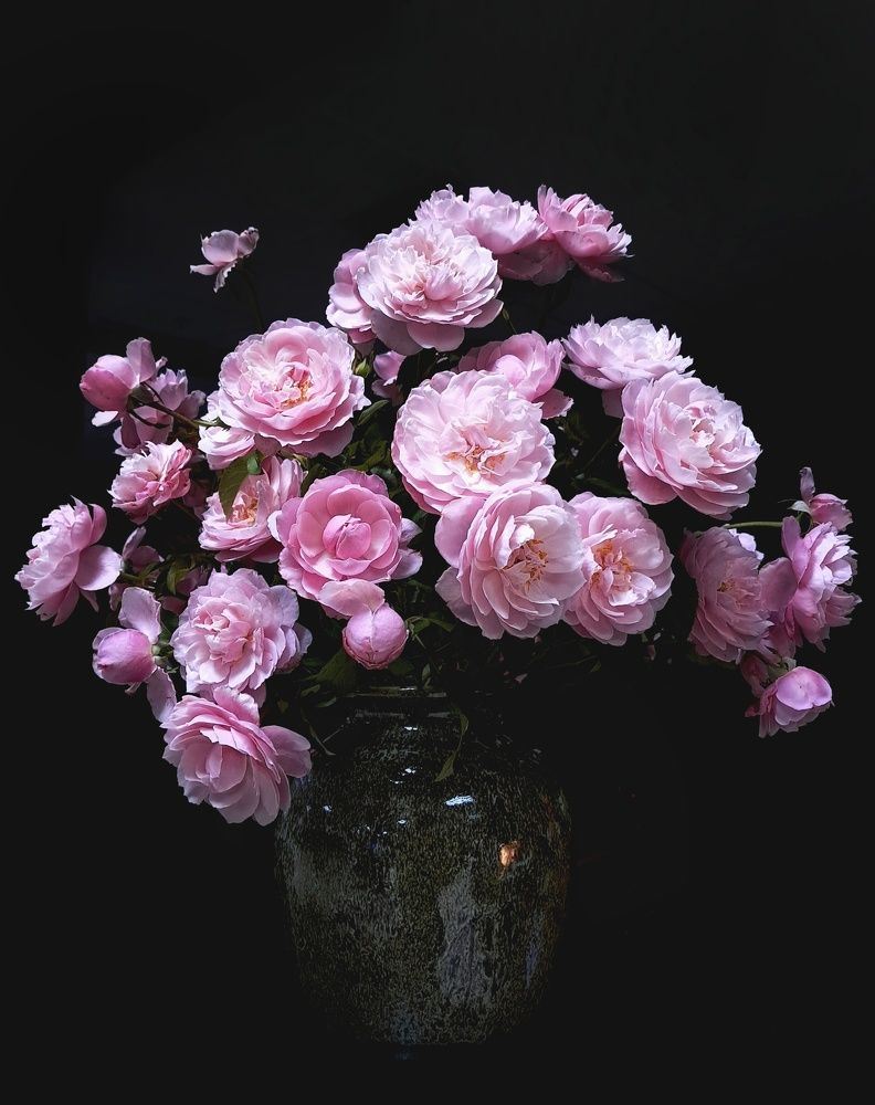 Photograph by NGUYEN LIEN