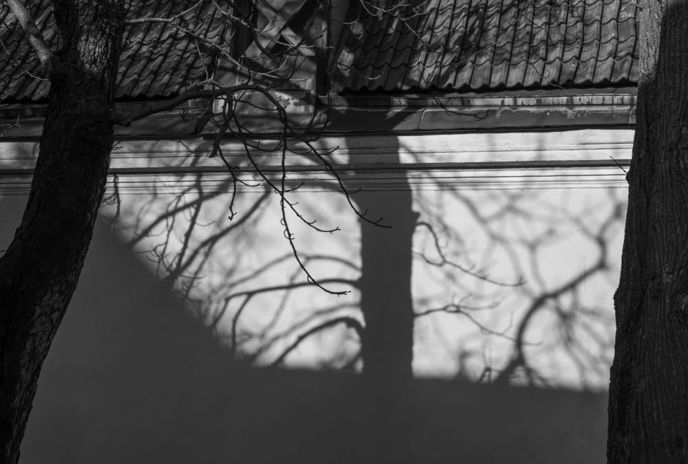 Photograph by Agita Leimane