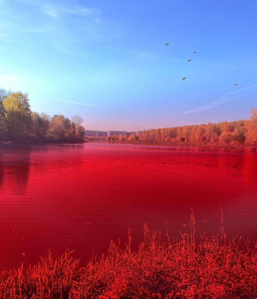 Photograph by Наталья Ермакова