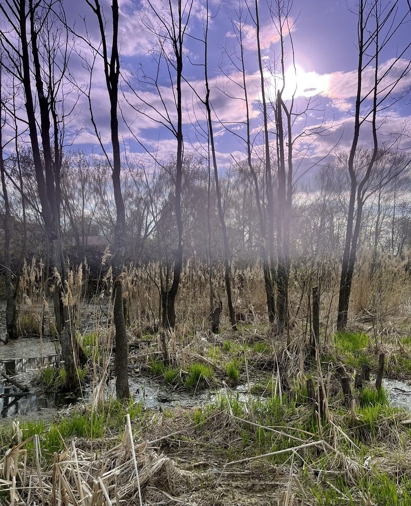 Photograph by Наталья Ермакова