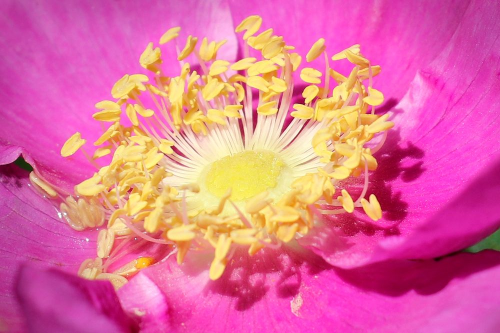 Photograph by Татьяна Елькина