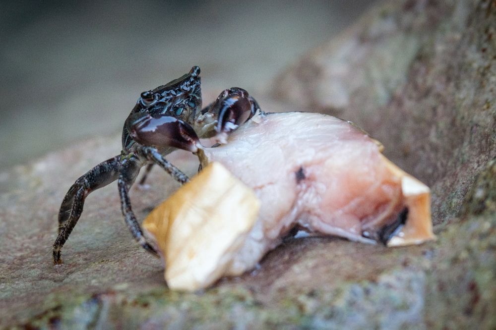 Photograph by Dina Damotseva